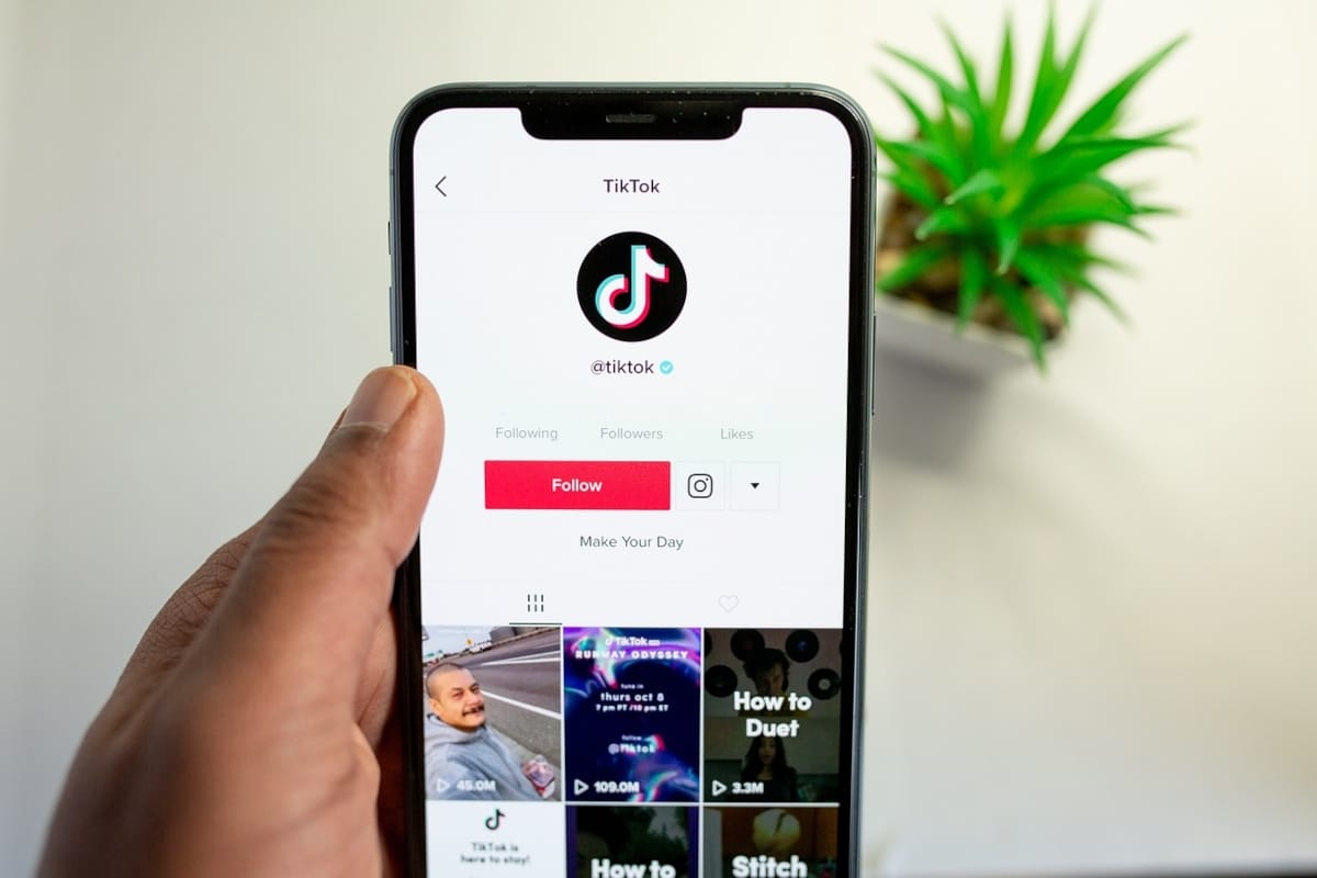 TikTok : pourquoi ce réseau social fascine-t-il tant ?