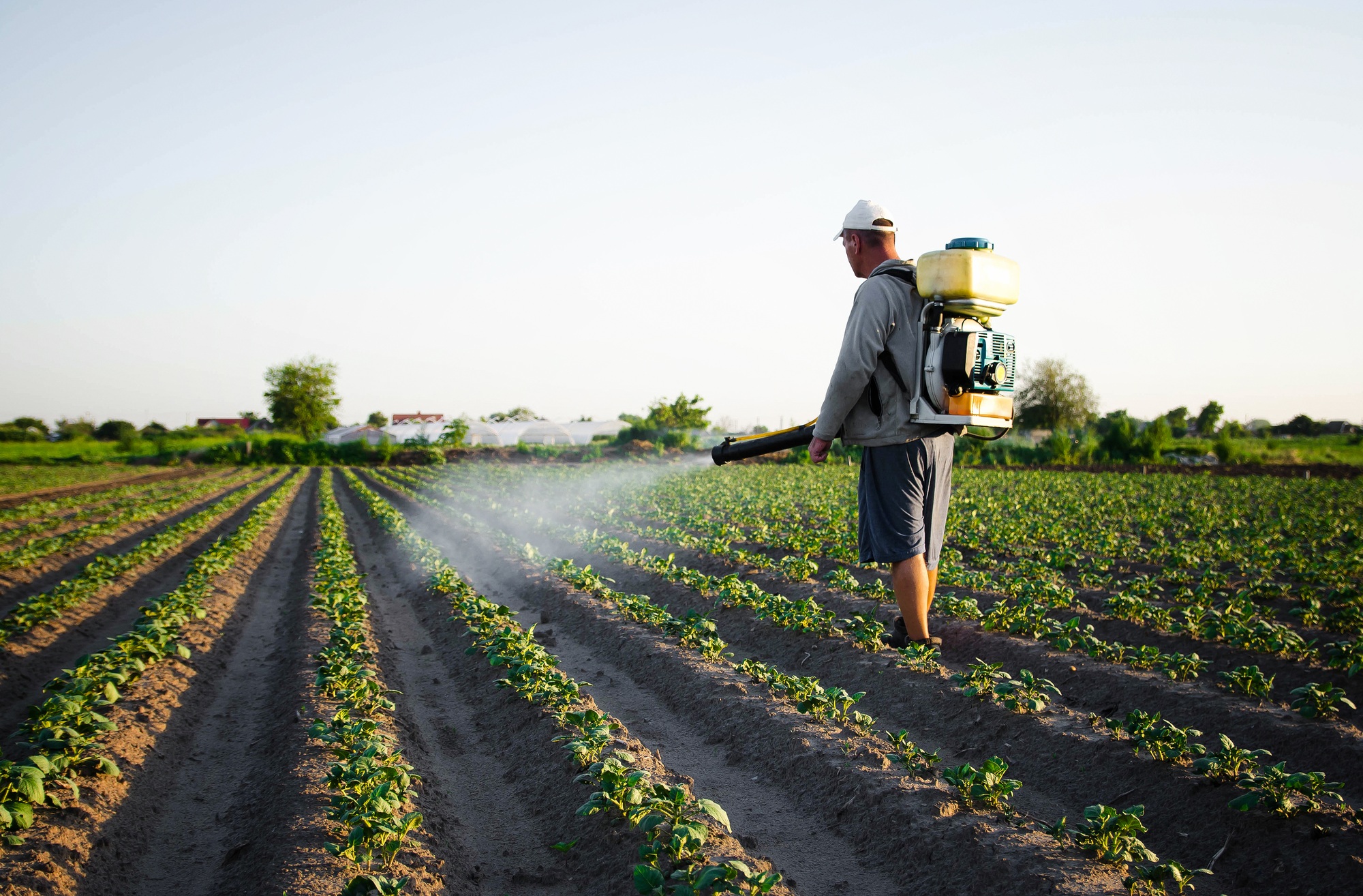 dosage du glyphosate