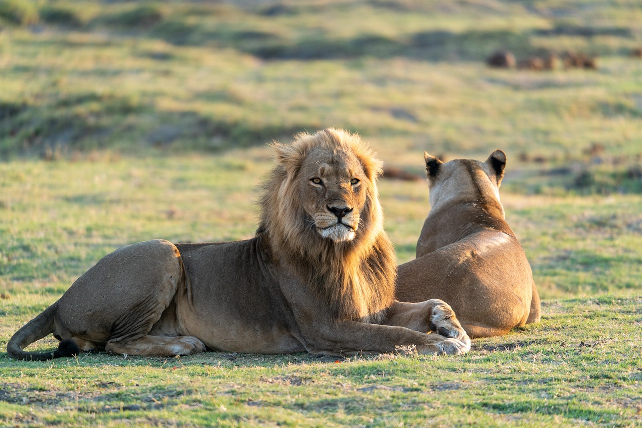 tsavo kenya