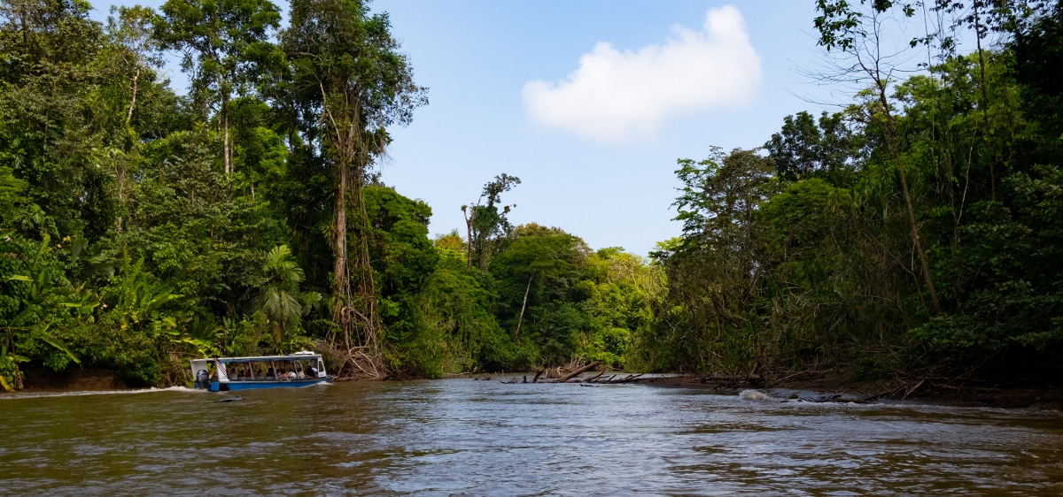 Madidi en Bolivie