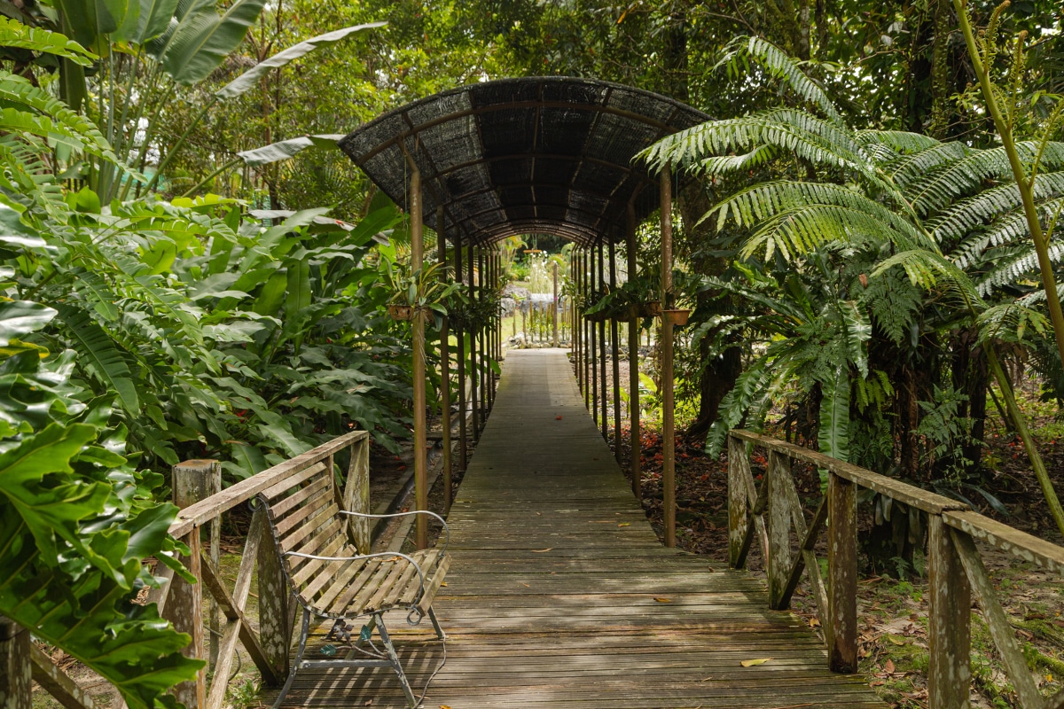 jardin botanique de Deshaies
