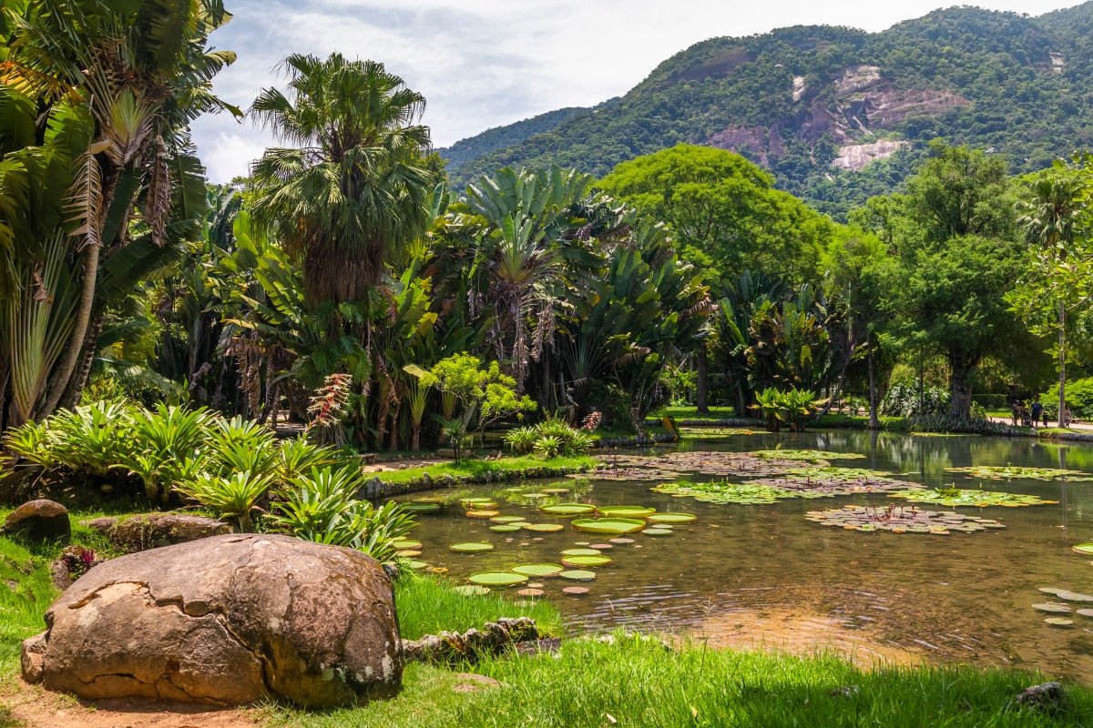 paradis tropical
