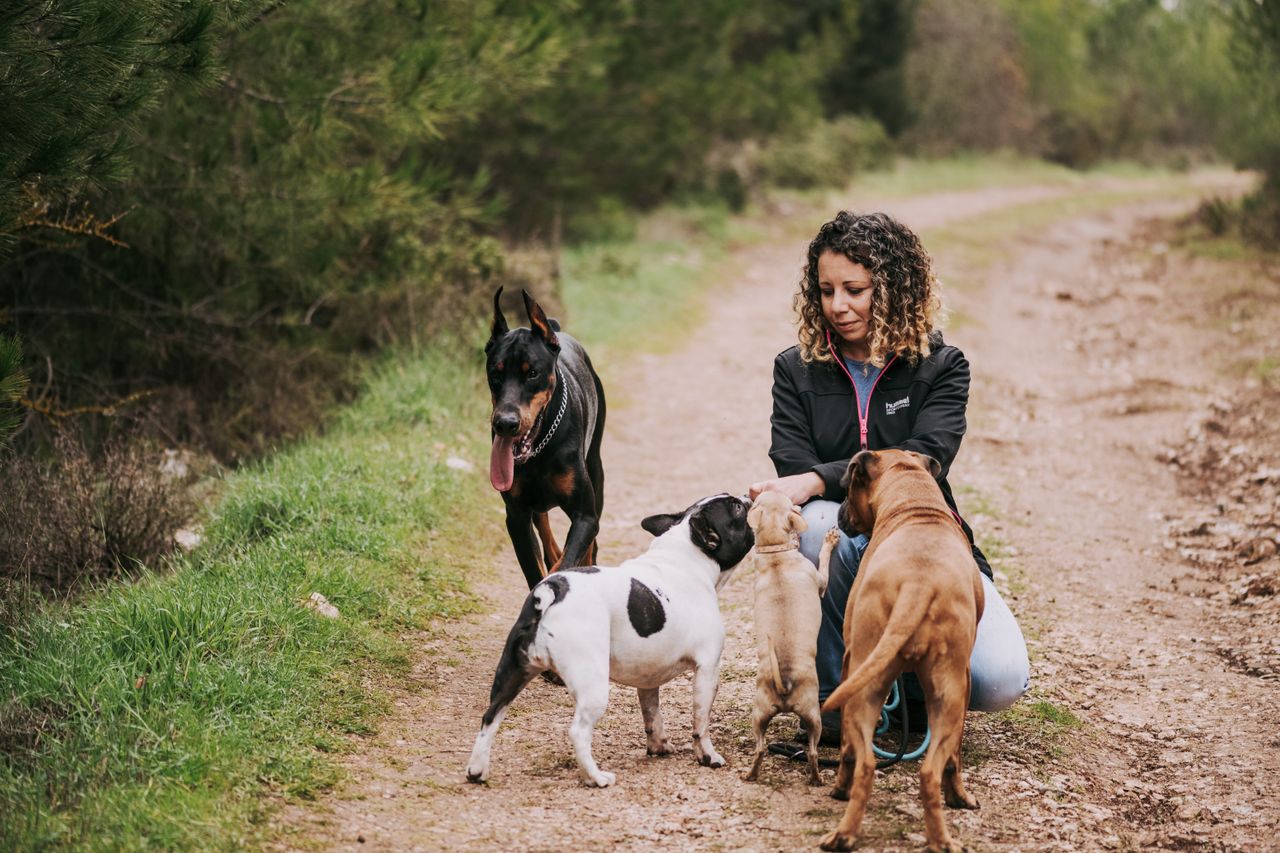 Comprendre la définition de kynodesme pour mieux éduquer son chien